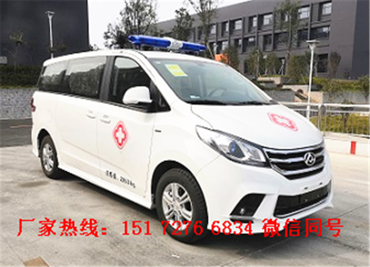 大通G10救護車(自動擋)
