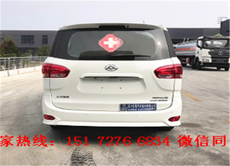 大通G10救護車(自動擋)