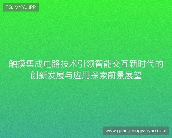 触摸集成电路技术引领智能交互新时代的创新发展与应用探索前景展望
